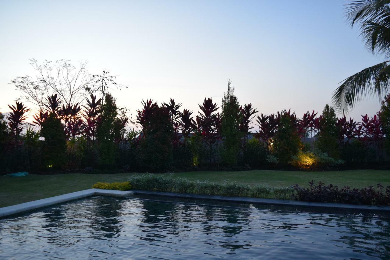 Villa Putih โลวินา ภายนอก รูปภาพ