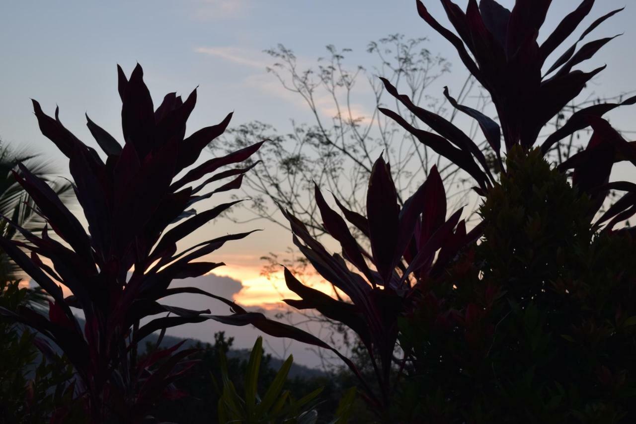 Villa Putih โลวินา ภายนอก รูปภาพ